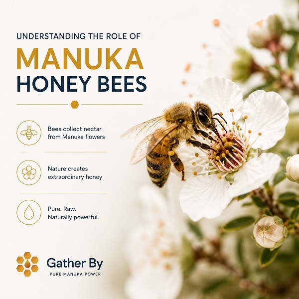 Role of Manuka Honey Bees